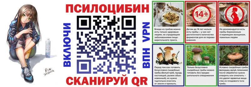 Купить закладки  Берёзовский  Галлюциногенные грибы прущие грибы 